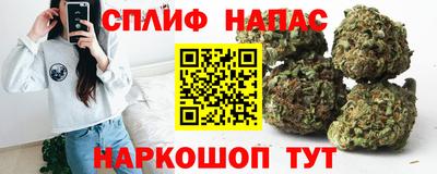 винт Канаш
