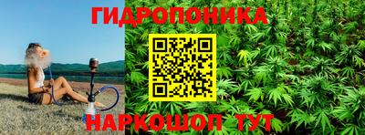винт Канаш