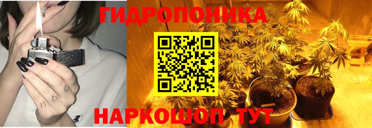 Бошки Шишки AK-47  Бошки Шишки White Widow  Майский  Вход с VPN 